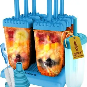 popsicle mold set plus bonuses